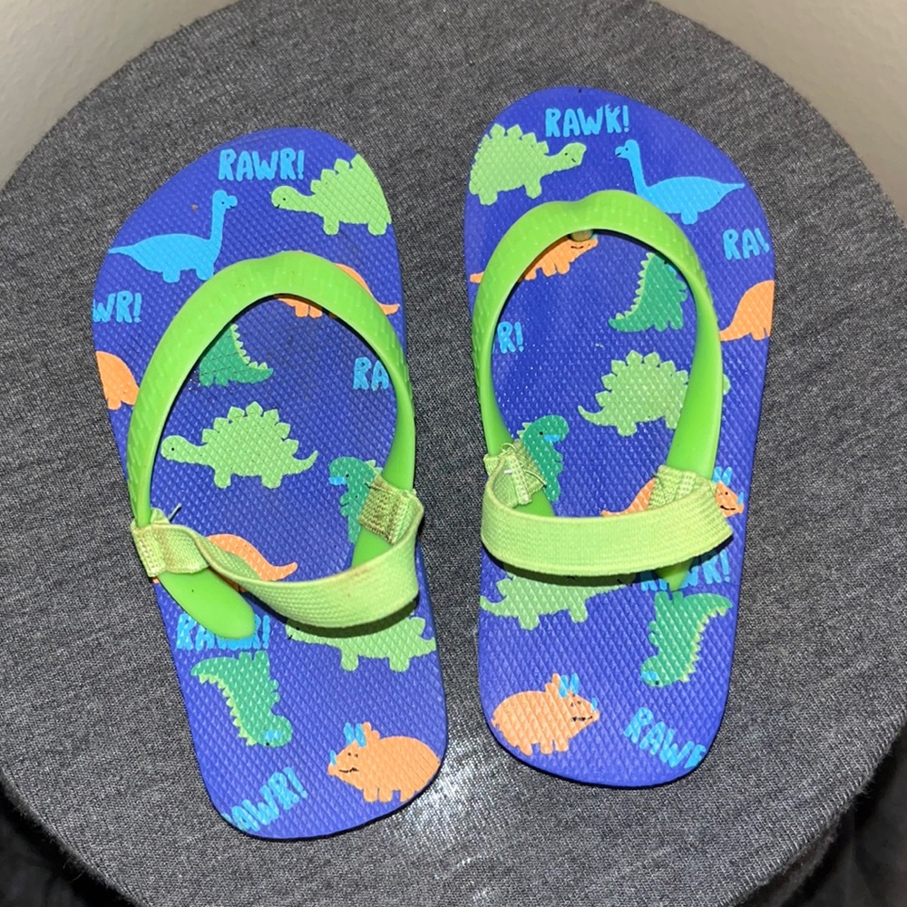 Dinosaur Flipflops